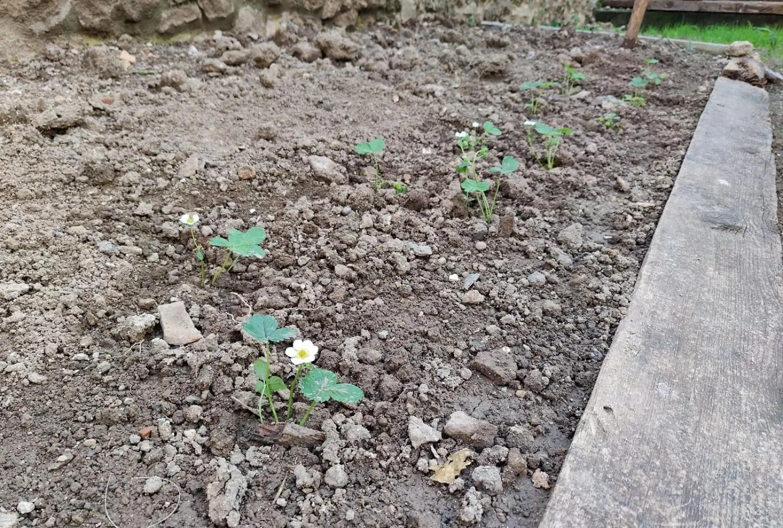 Homestay Sefin Villasi Antalya