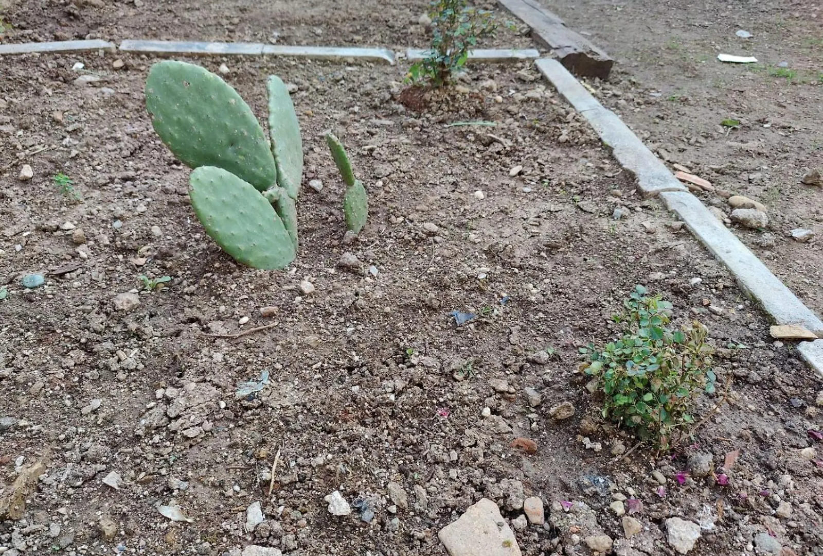 Sefin Villasi Antalya Turquía